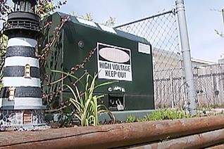 Thumbnail for video: “Smart Ideas: Landscape safety”.