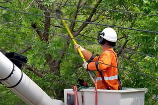 Thumbnail for video: “Your safety watch: Tree trimming”.