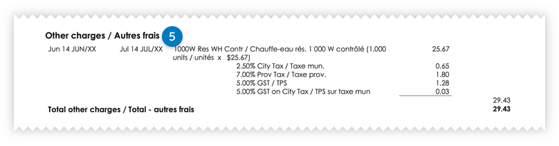 An example of other charges listed on the paper bill.