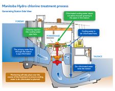 Manitoba Hydro chlorine treatment process.