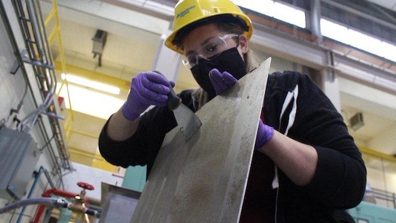 Un employé portant un équipement personnel de protection gratte les moules zébrées d’une plaque de bio-box métallique.