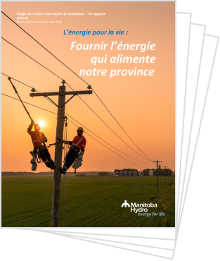 Vignette du Rapport annuel.