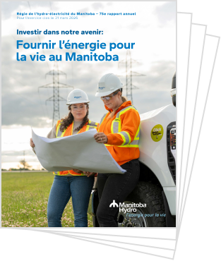 Vignette du Rapport annuel.