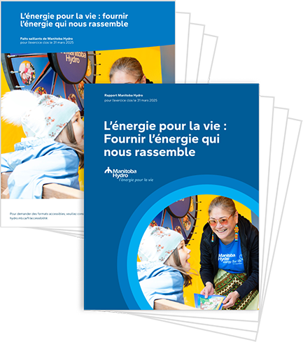 Vignette du rapport sur la durabilité.