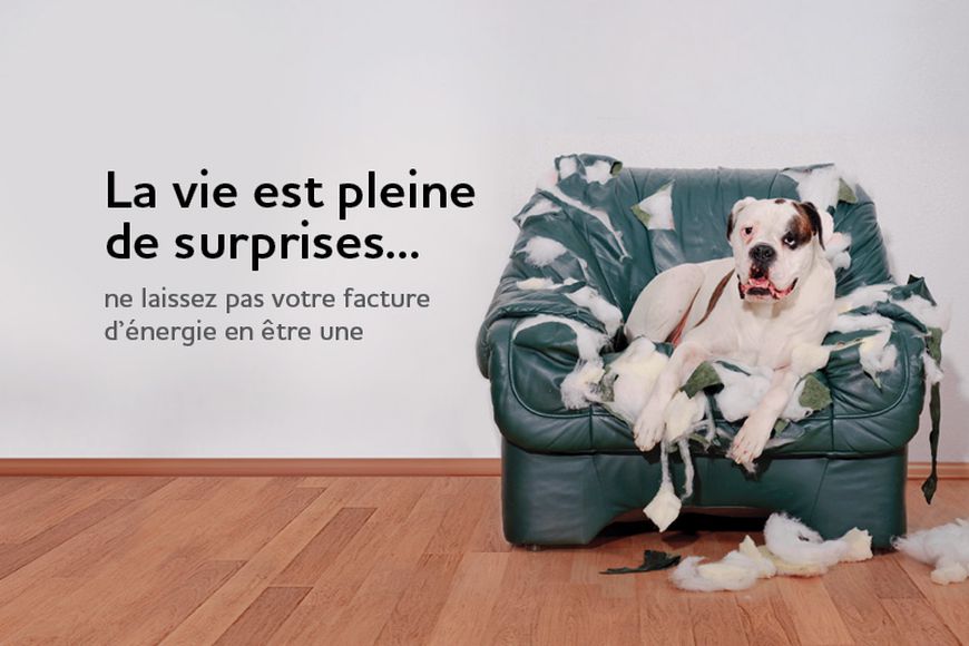 Gérez votre budget plus facilement grâce à notre Régime de paiements égaux