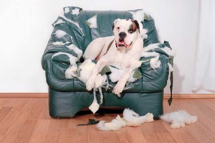 Life is full of surprises, don't let your energy bill be one