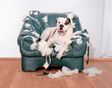 Life is full of surprises, don't let your energy bill be one