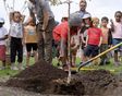 A “treemendous planting day” at Mulvey School