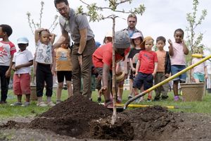 Students planting trees at Mulvey school