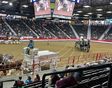 Wrangling fun at the Royal Manitoba Winter Fair
