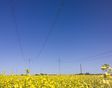 Manitoba Hydro 2025 pesticide program