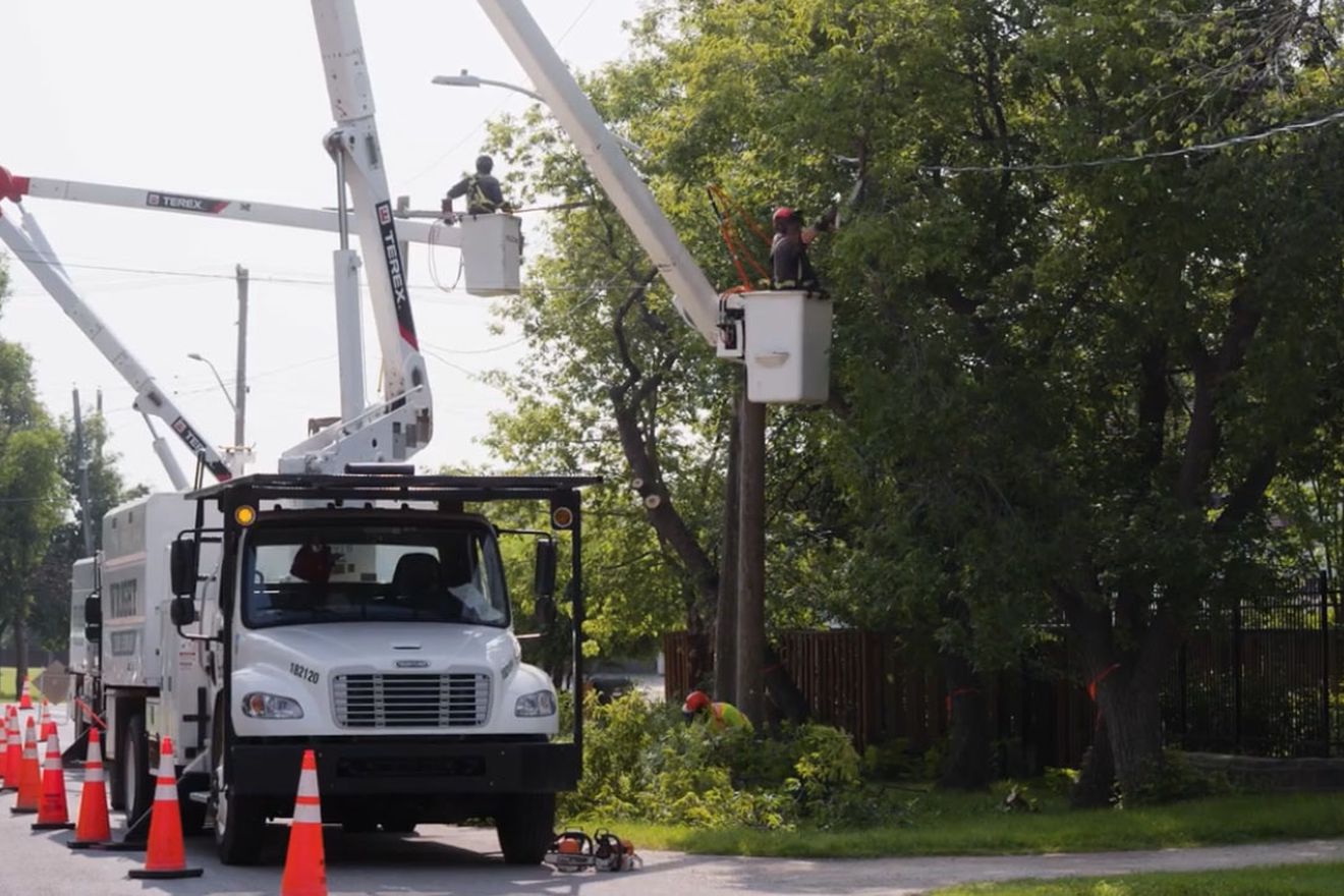 Thumbnail for video: “Vegetation management - residential tree trimming”.