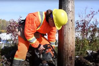 Thumbnail for video: “How we restore our hydro poles”.
