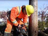 Thumbnail for video: “How we restore our hydro poles”.
