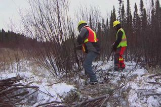 Thumbnail for video: “Fish Habitat Enhancement at Wuskwatim”.