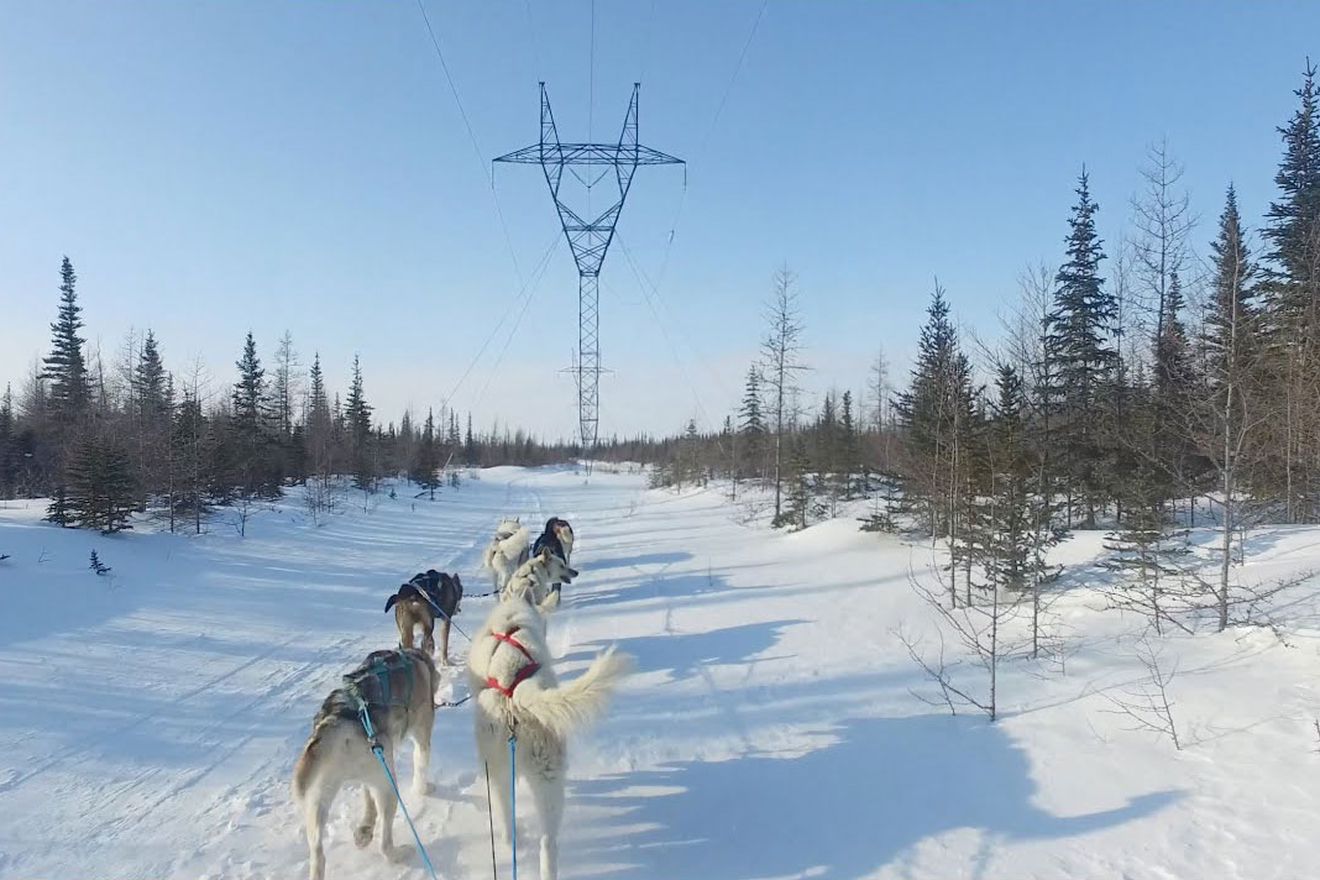 Vignette pour la vidéo : « Aurora Winterfest - Churchill, Manitoba ».
