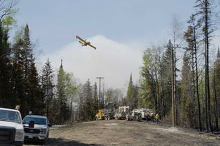 Thumbnail for video: “Wildfire restoration in Nopiming Provincial Park”.