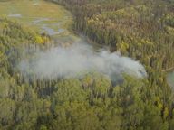 Thumbnail for video: “2025 wildfire restoration”.
