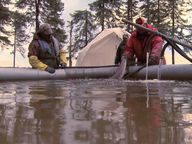 Thumbnail for video: “Sturgeon Management”.