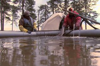Thumbnail for video: “Sturgeon Management”.