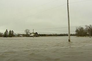 Thumbnail for video: “Smart Ideas: Flood safety”.