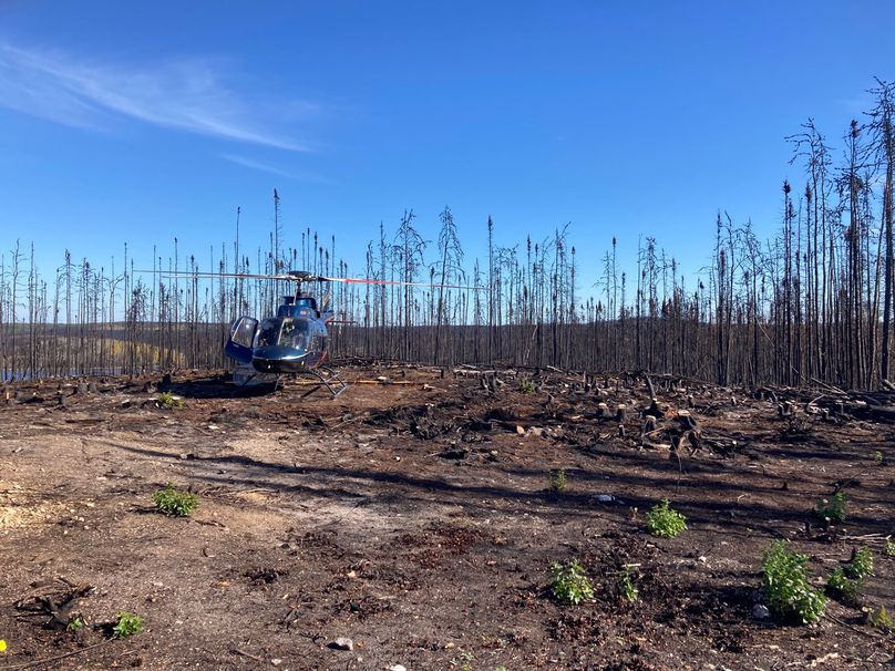 Un hélicoptère dont la porte côté passager est ouverte, entouré d’arbres morts dans un champ calciné.