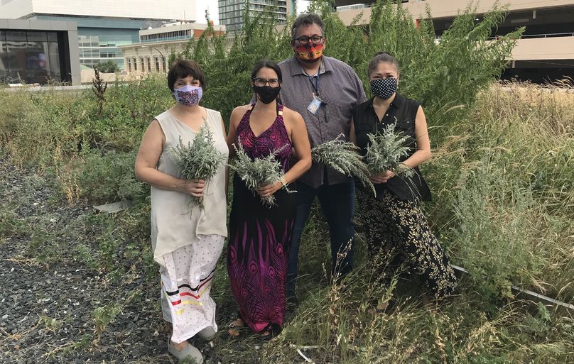 Three women and a man hold bundles of harvested sage from a rooftop garden.