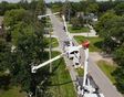 Why we trim trees near power lines