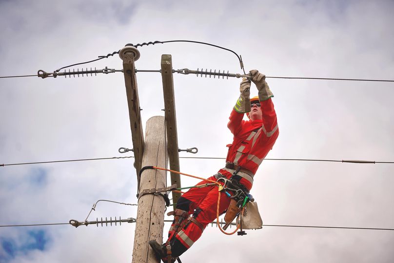 Power line technicians