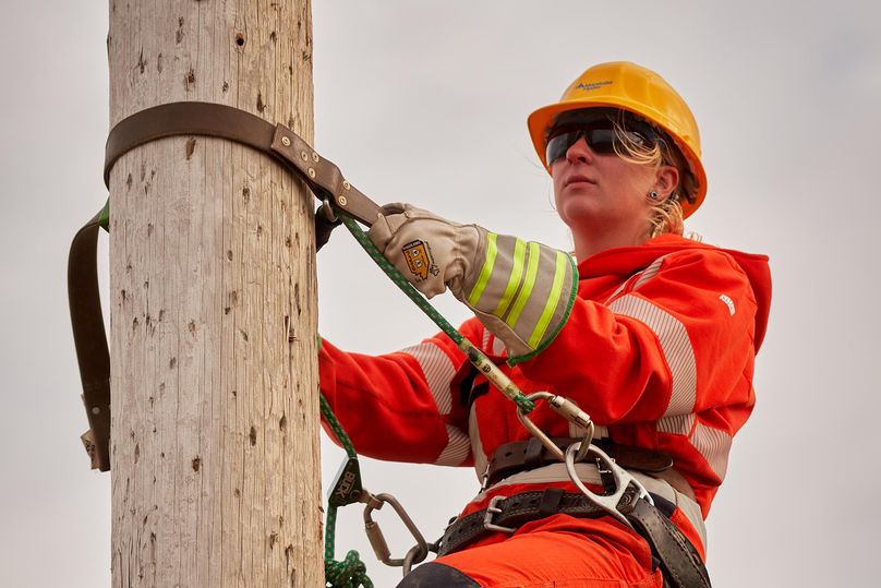 Power line technicians