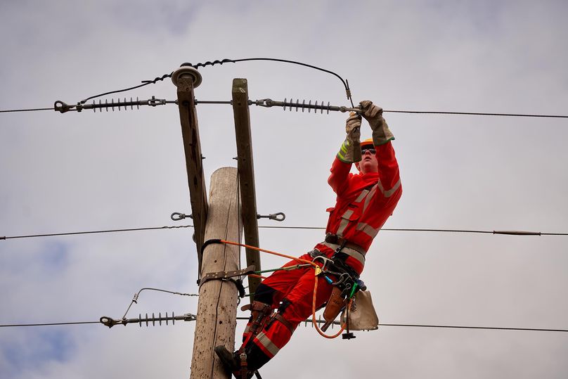 Power line technician