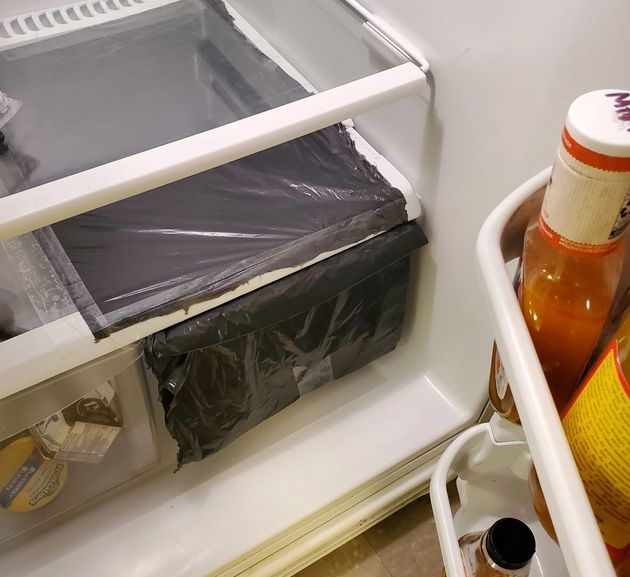 An open fridge displays a darkened drawer where the frogs are kept.