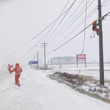 People in high visibility clothing walk beside and climb a utility pole.