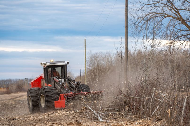 Tractor with mechanical brush clearing equipment cutting trees near power lines.