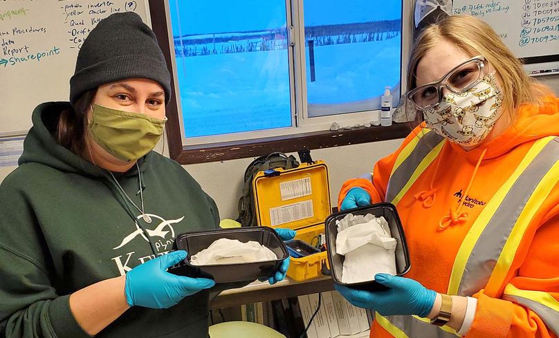 Two employees wearing non-medical masks hold small plastic containers padded with damp paper towels.