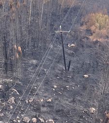 An overhead view of the fire damage and broken wood poles.