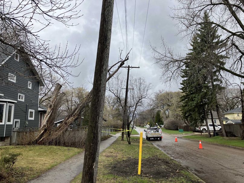 A residential neighbourhood with a tree leaning far onto a power line