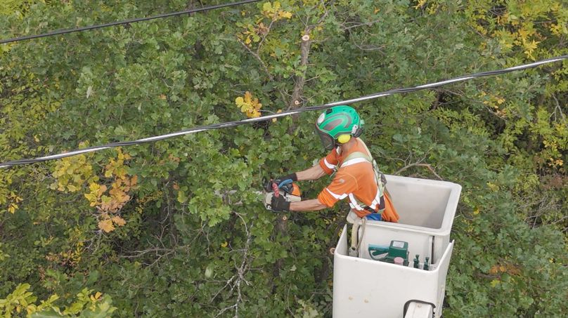 A man in a bucket truck with a chainsaw trimming trees around power lines.