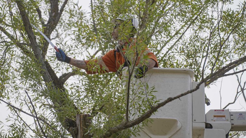 A man in a bucket truck with a hand saw trimming trees around power lines.