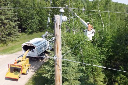 New interactive map shows where Manitoba Hydro is doing vegetation management