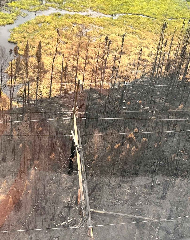 A burnt utility pole lying on the ground in an area that was formerly forested, now scorched and barren.