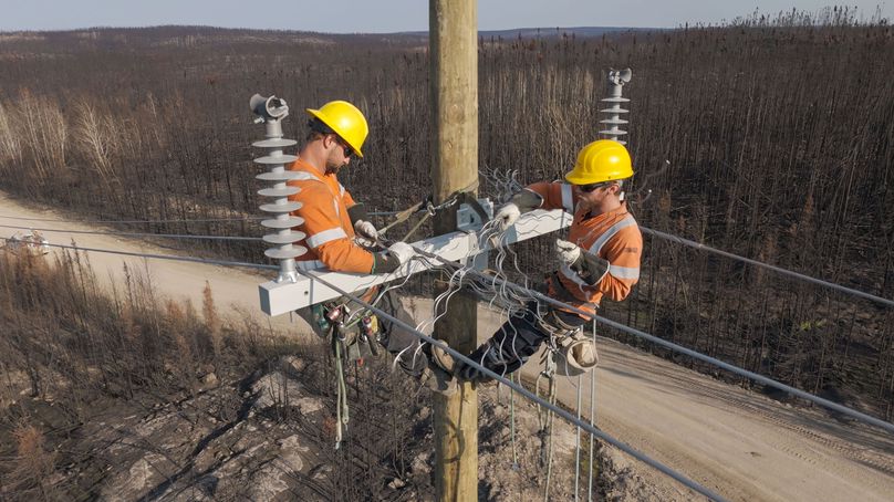 Two power line technicians work to repair equipment on top of a pole overlooking a large burned area of forest.
