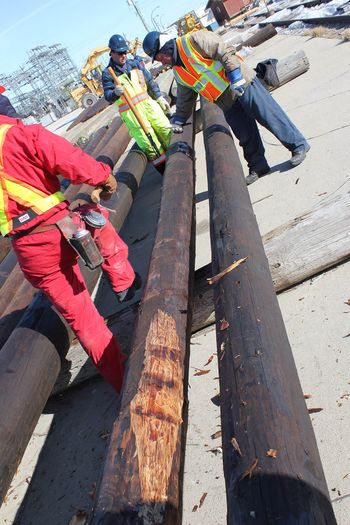 Wood poles lying on the ground in a laydown area, as employees work on them.