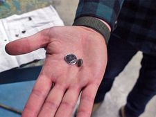 Zebra mussel next to a dime on a person’s hand.