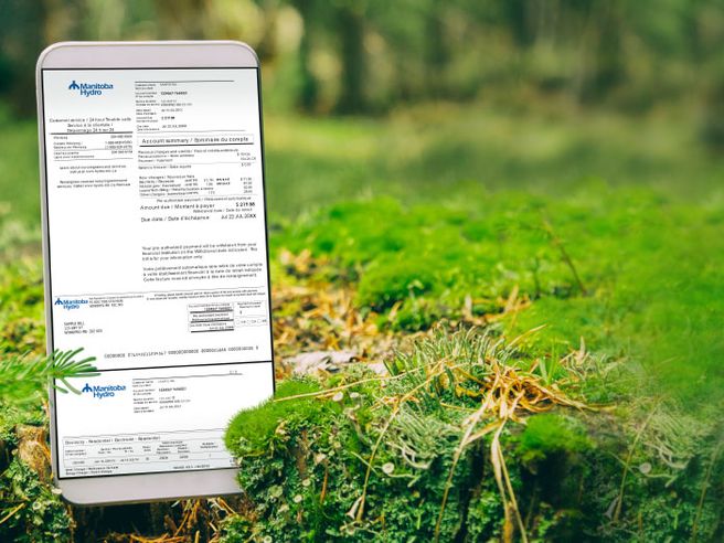 Energy bill shown on cellphone