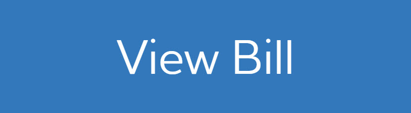 A screenshot of the blue rectangular view bill button.