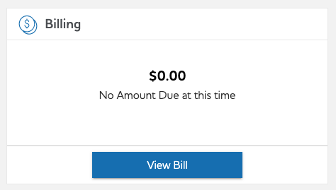 A screenshot of the view bill button in the customer portal.