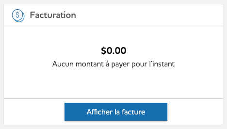 Aperçu du bouton rectangulaire bleu « Voir la facture ».